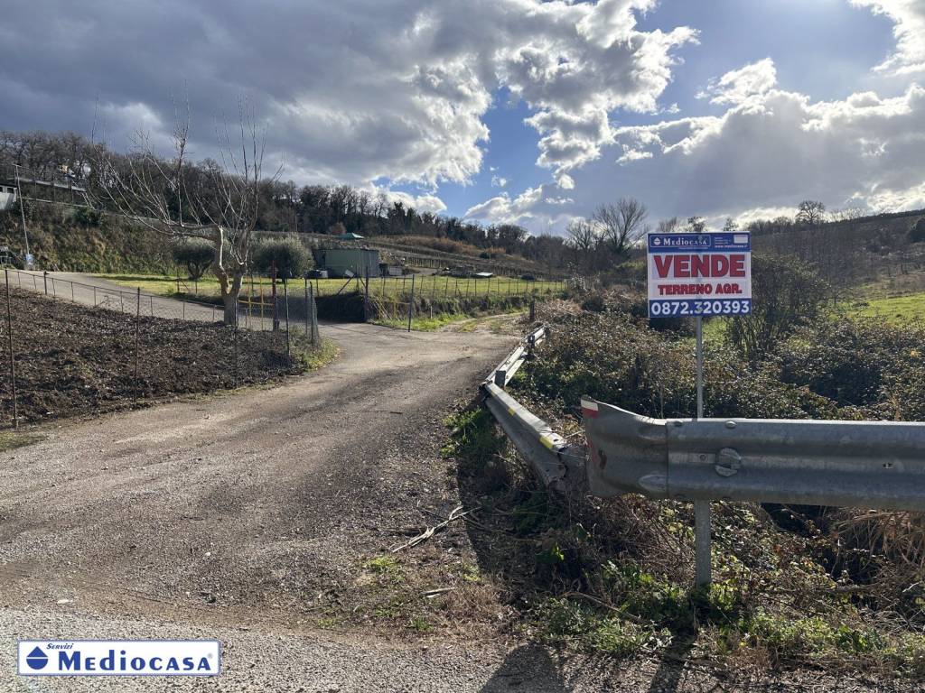 immagine annuncio 7 di 11