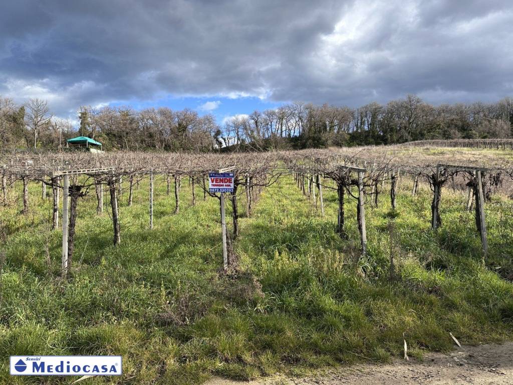 immagine annuncio 2 di 11