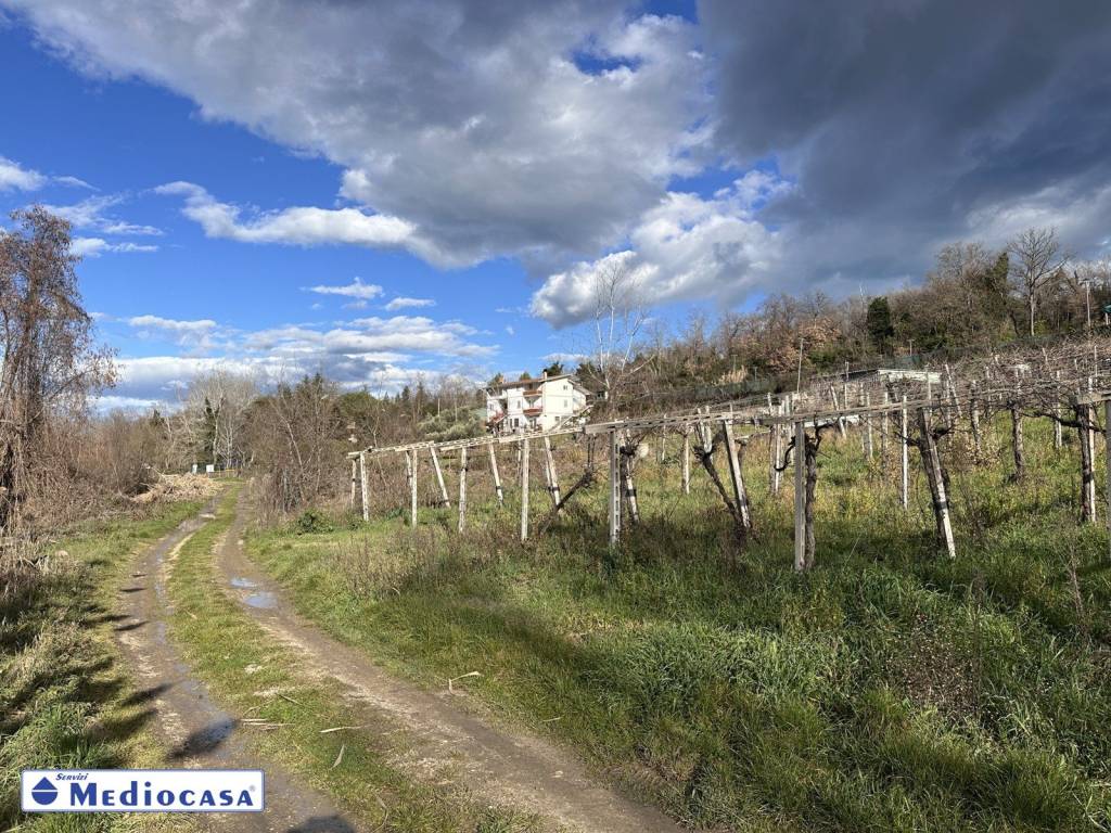 immagine annuncio 4 di 11