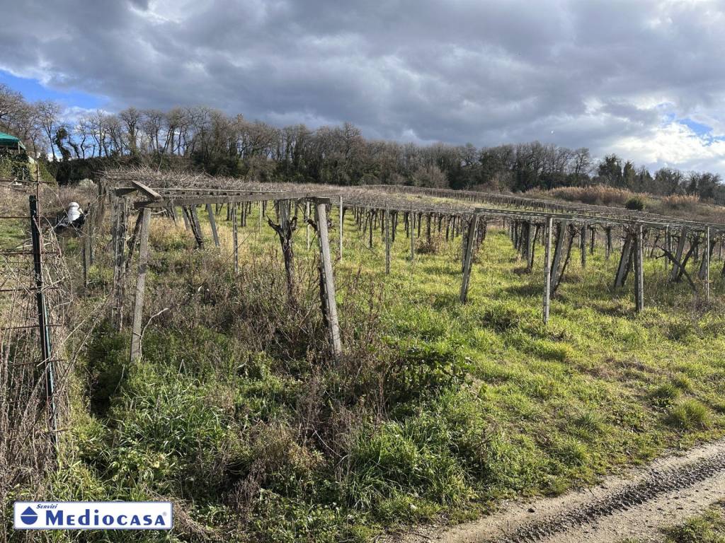 immagine annuncio 5 di 11