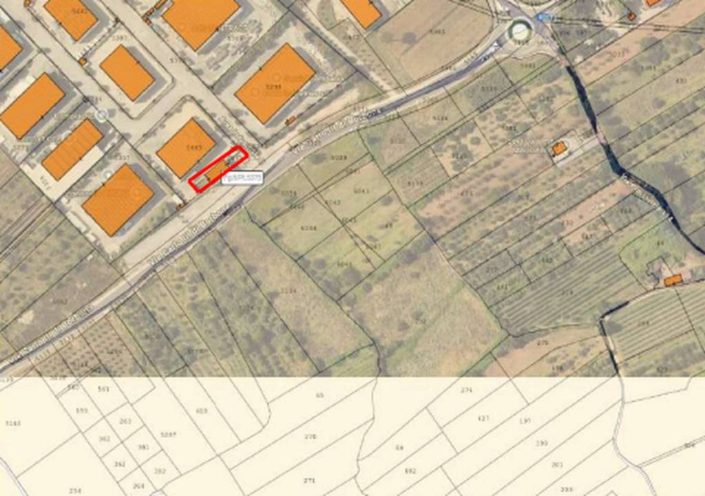 immagine annuncio 1 di 13