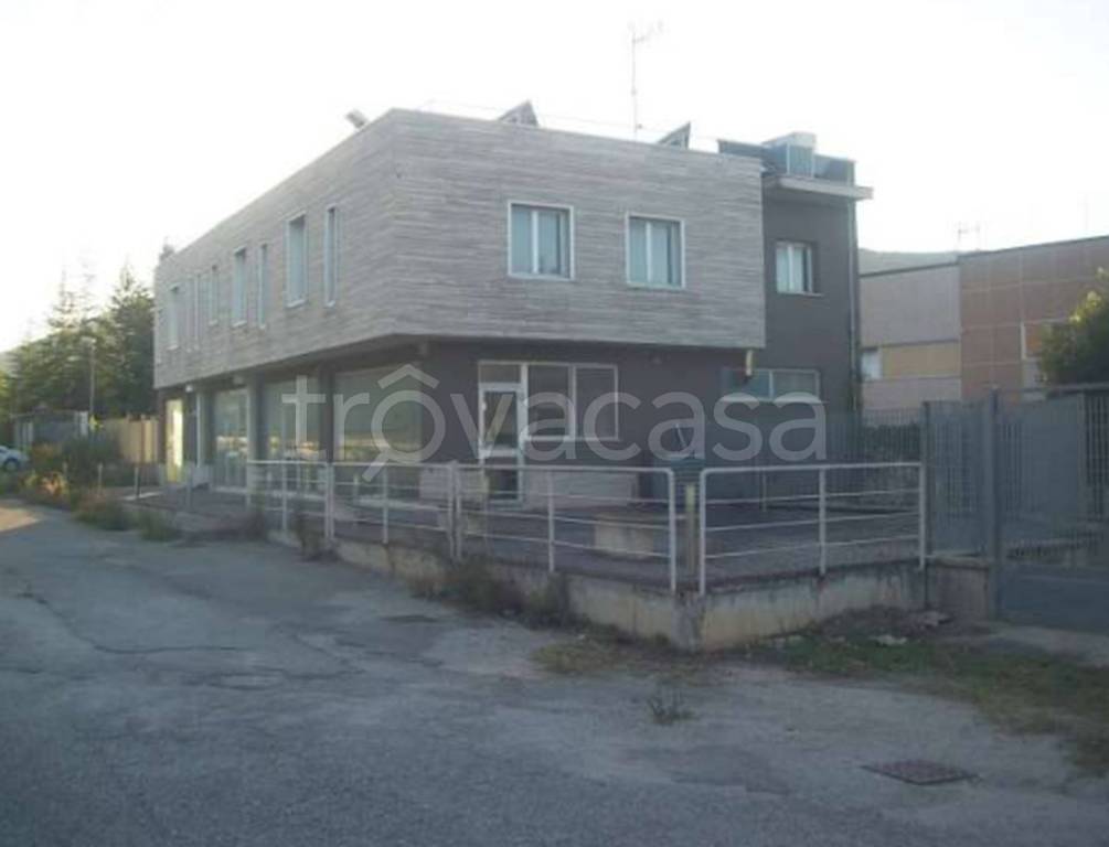 immagine annuncio 10 di 13