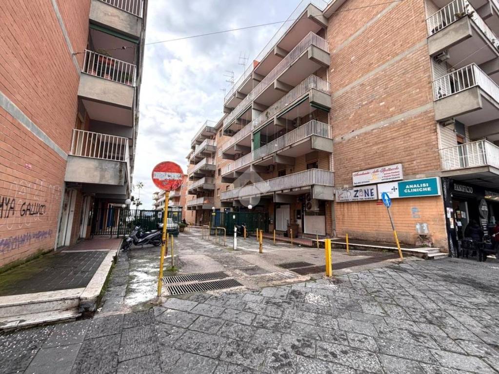 immagine annuncio 3 di 11