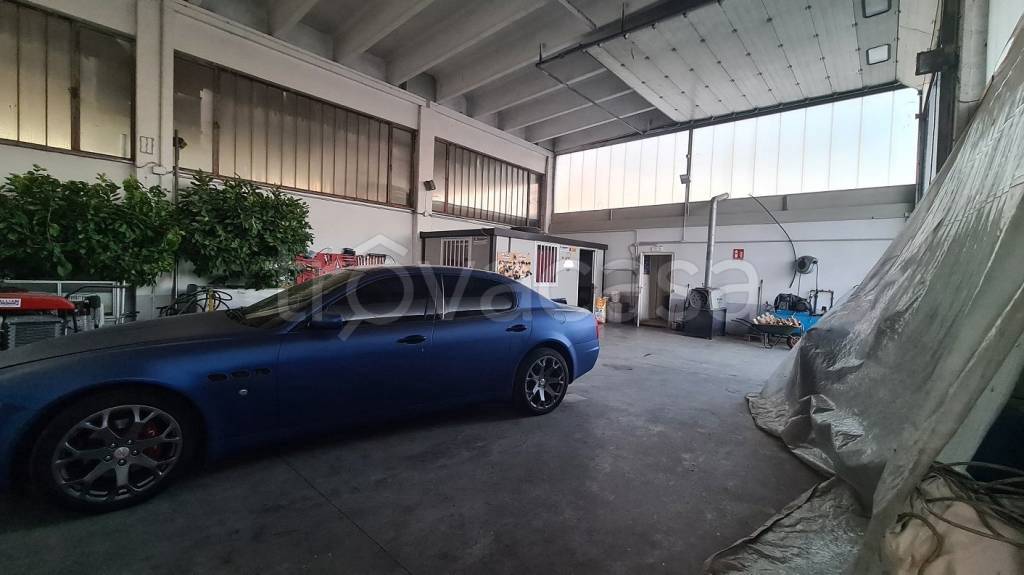 immagine annuncio 6 di 9