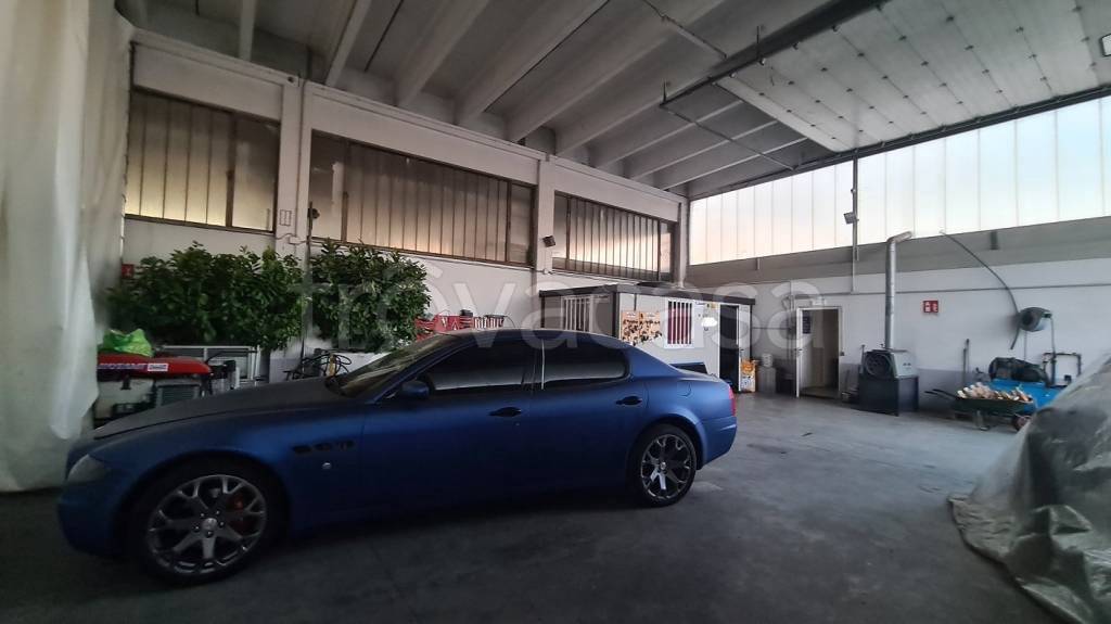 immagine annuncio 7 di 9