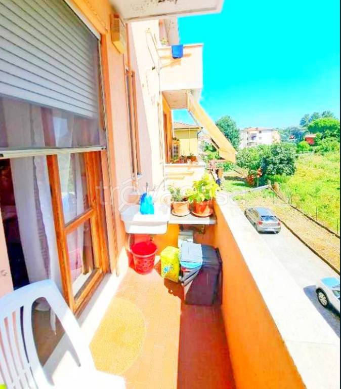 immagine annuncio 2 di 12