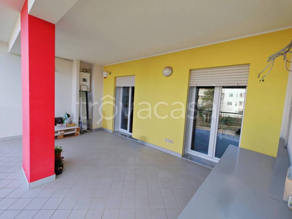 immagine annuncio 14 di 15