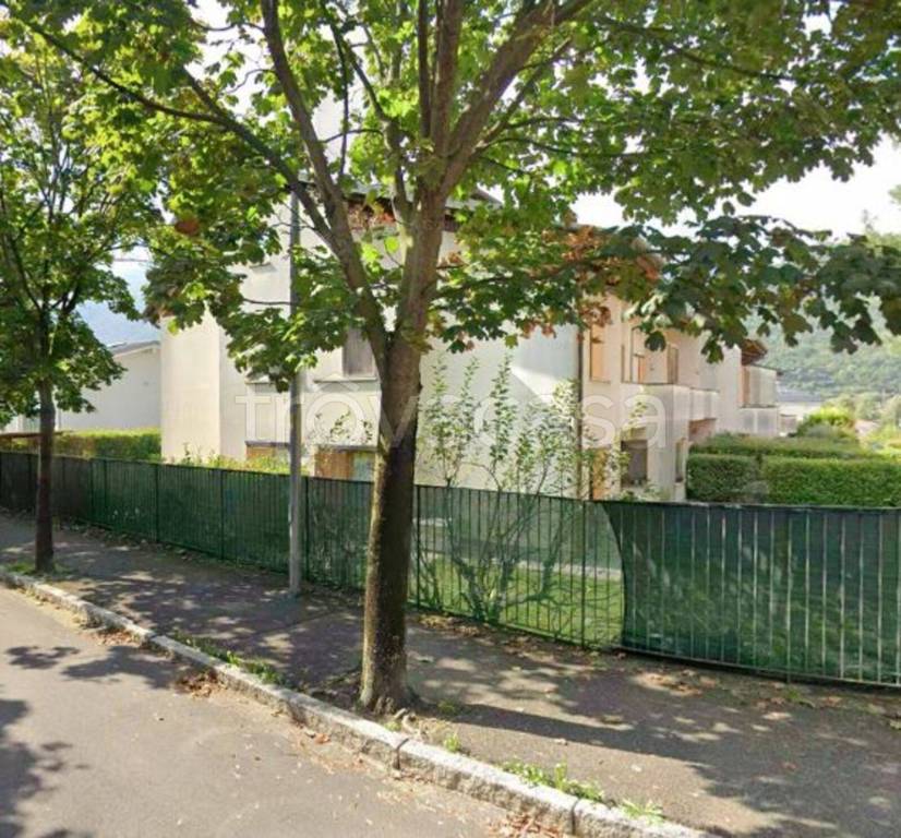 immagine annuncio 5 di 12