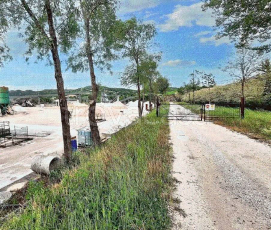 immagine annuncio 3 di 12