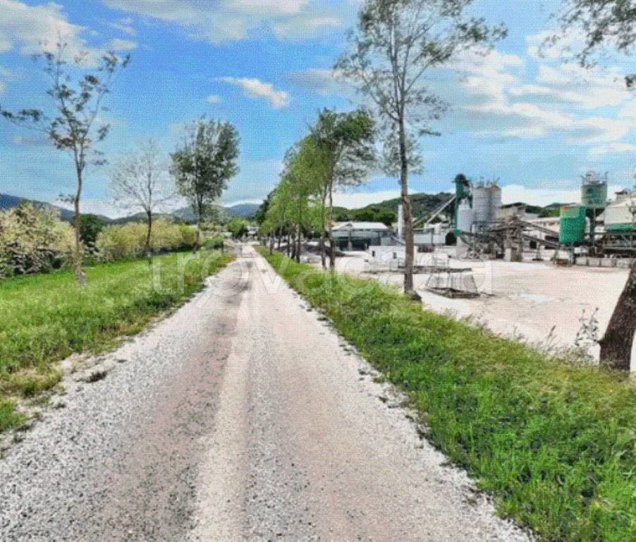 immagine annuncio 4 di 12