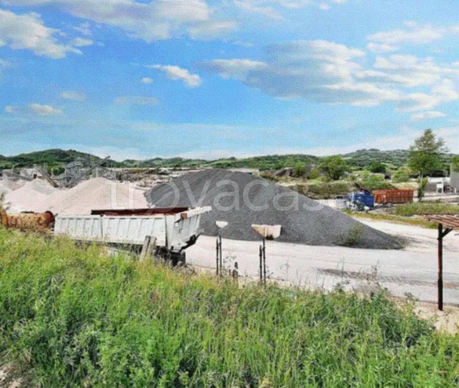 immagine annuncio 6 di 12