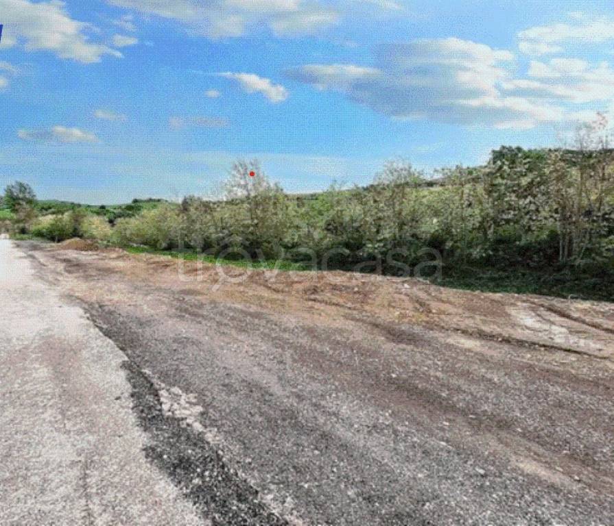 immagine annuncio 8 di 12