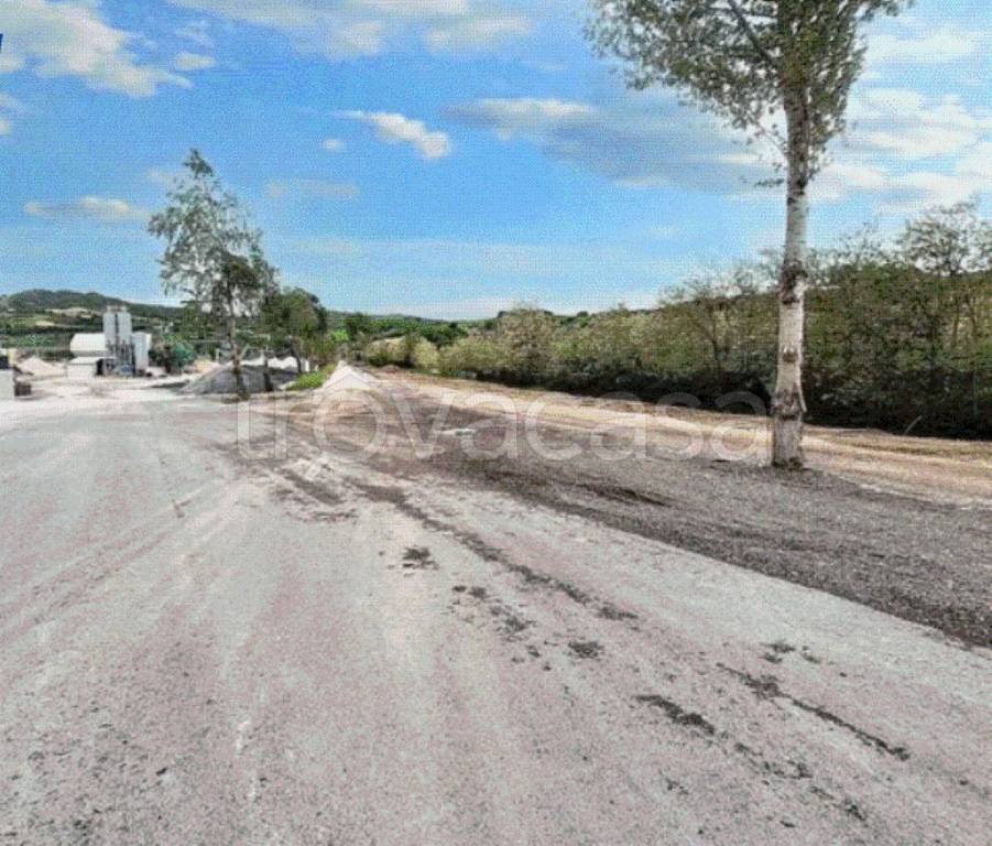 immagine annuncio 9 di 12