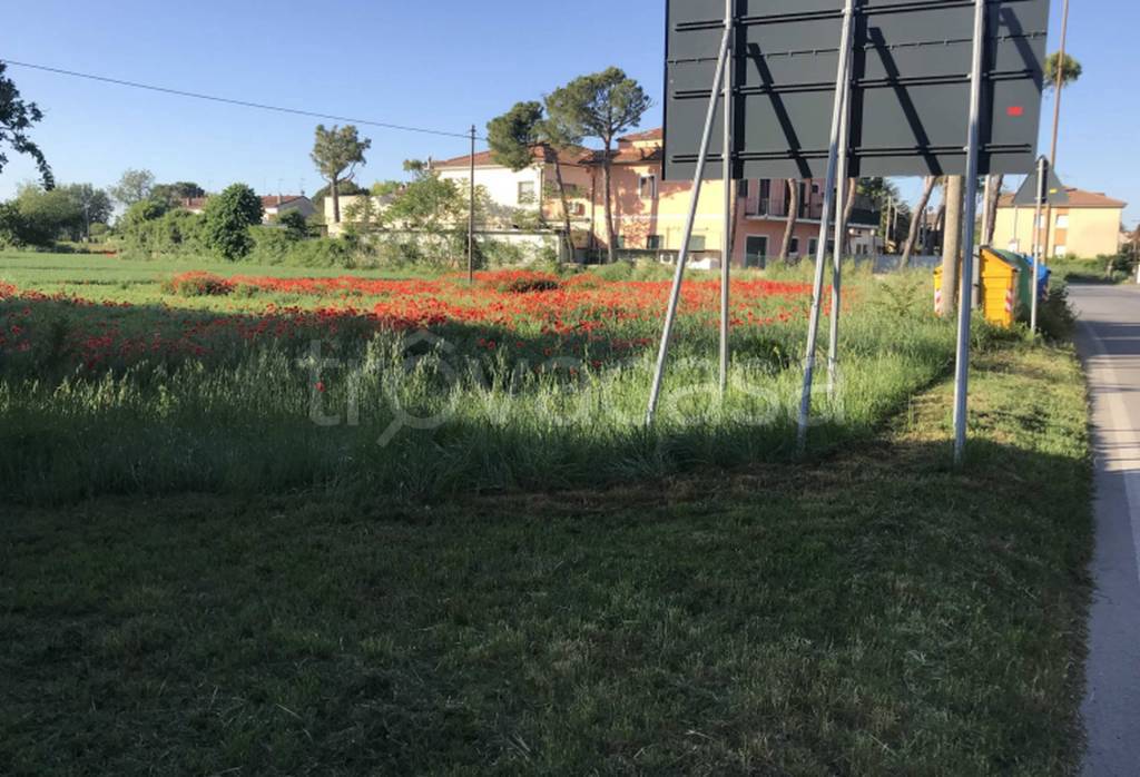 immagine annuncio 3 di 12