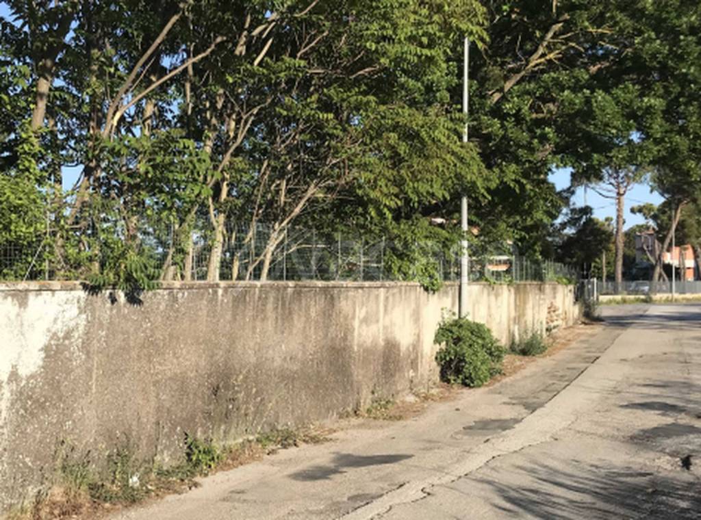 immagine annuncio 5 di 12