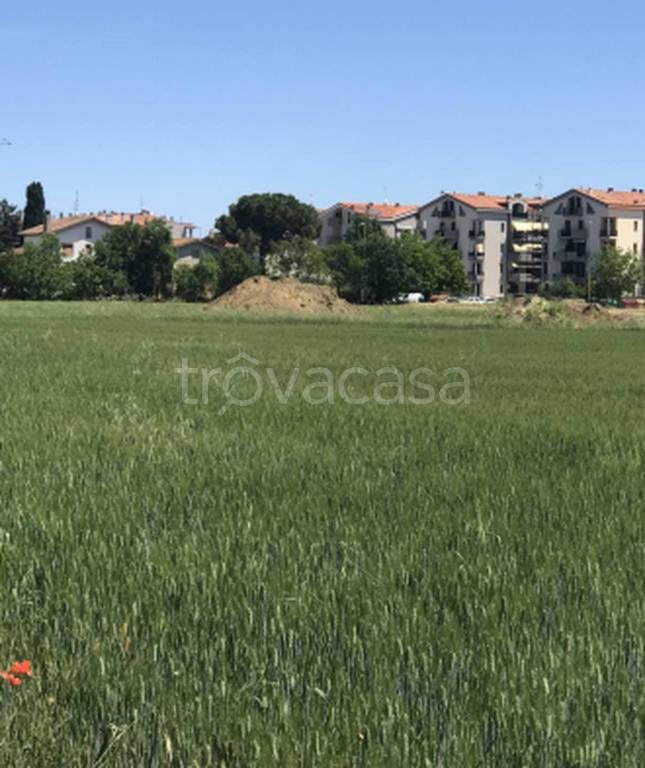 immagine annuncio 5 di 11