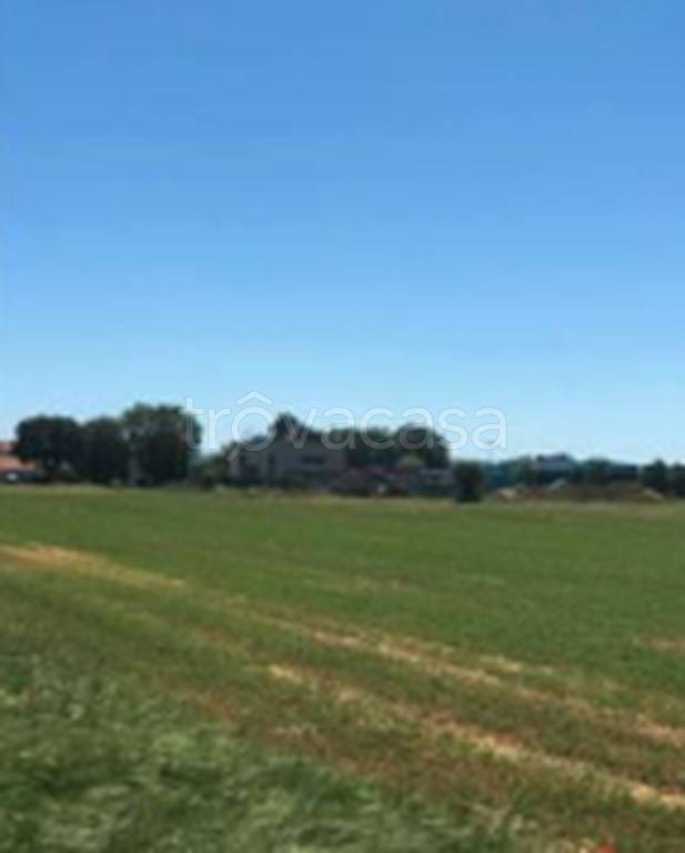 immagine annuncio 10 di 11