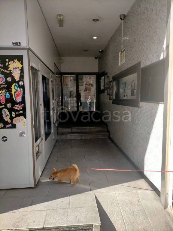 immagine annuncio 4 di 12