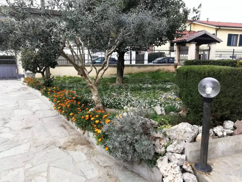 immagine annuncio 4 di 14