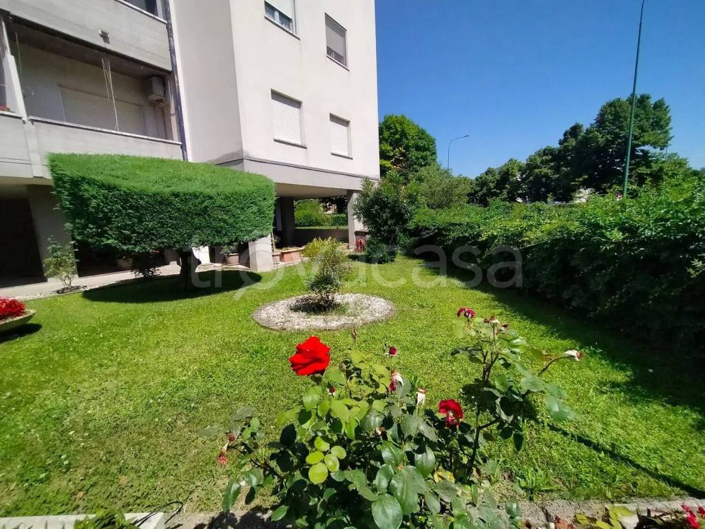 immagine annuncio 4 di 6