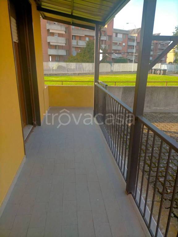 immagine annuncio 12 di 13