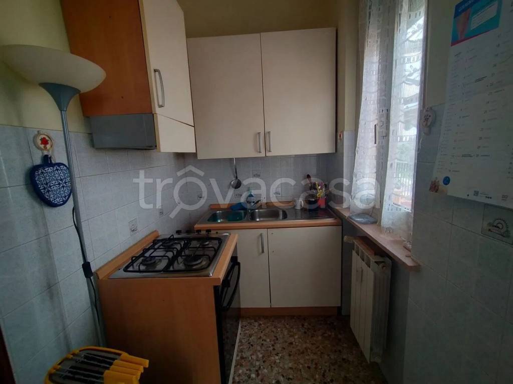 immagine annuncio 3 di 13