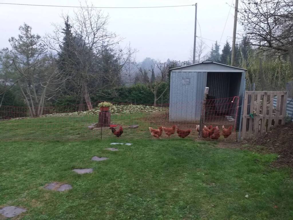 immagine annuncio 10 di 15