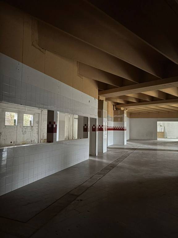 immagine annuncio 1 di 6