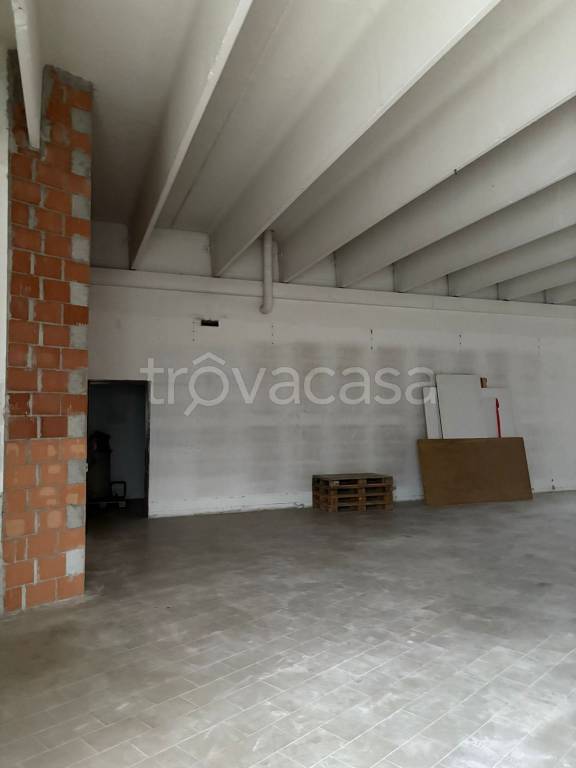 immagine annuncio 4 di 6