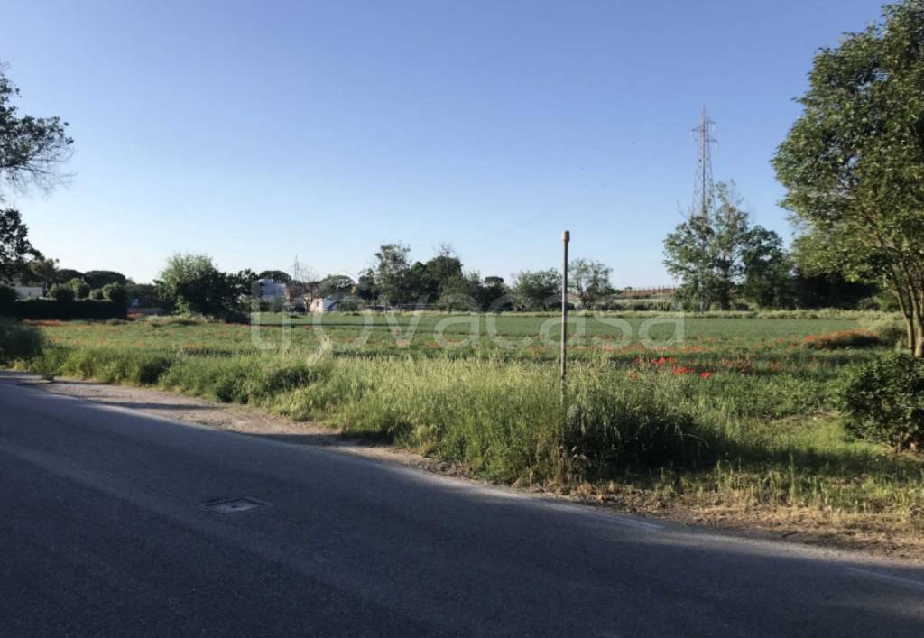 immagine annuncio 4 di 12