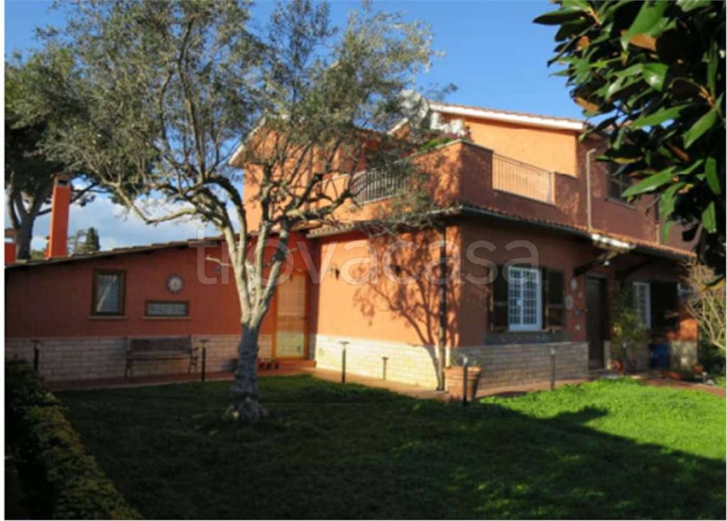 immagine annuncio 4 di 8