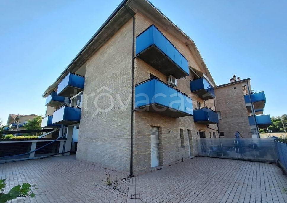 immagine annuncio 3 di 13