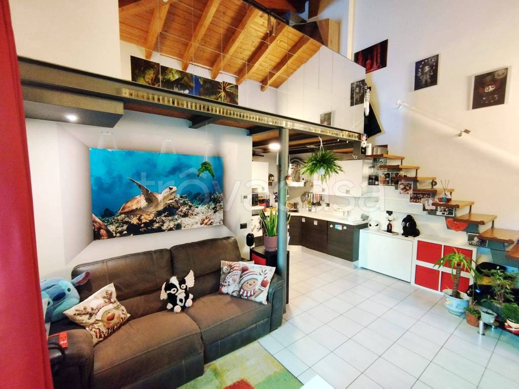 immagine annuncio 11 di 15