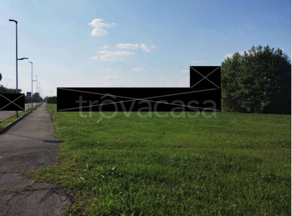 immagine annuncio 5 di 12