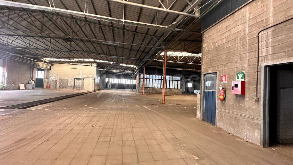 immagine annuncio 2 di 8