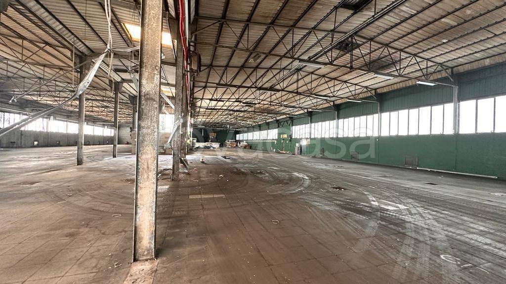 immagine annuncio 7 di 8