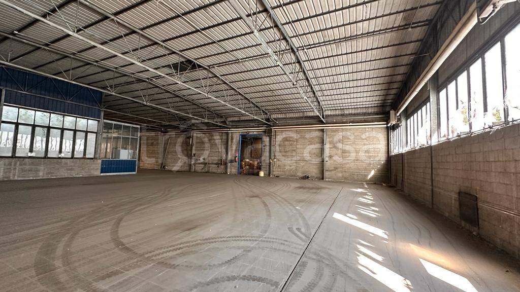 immagine annuncio 2 di 8