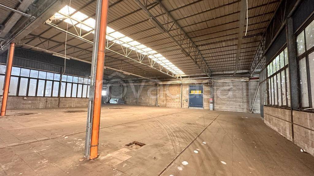 immagine annuncio 5 di 8