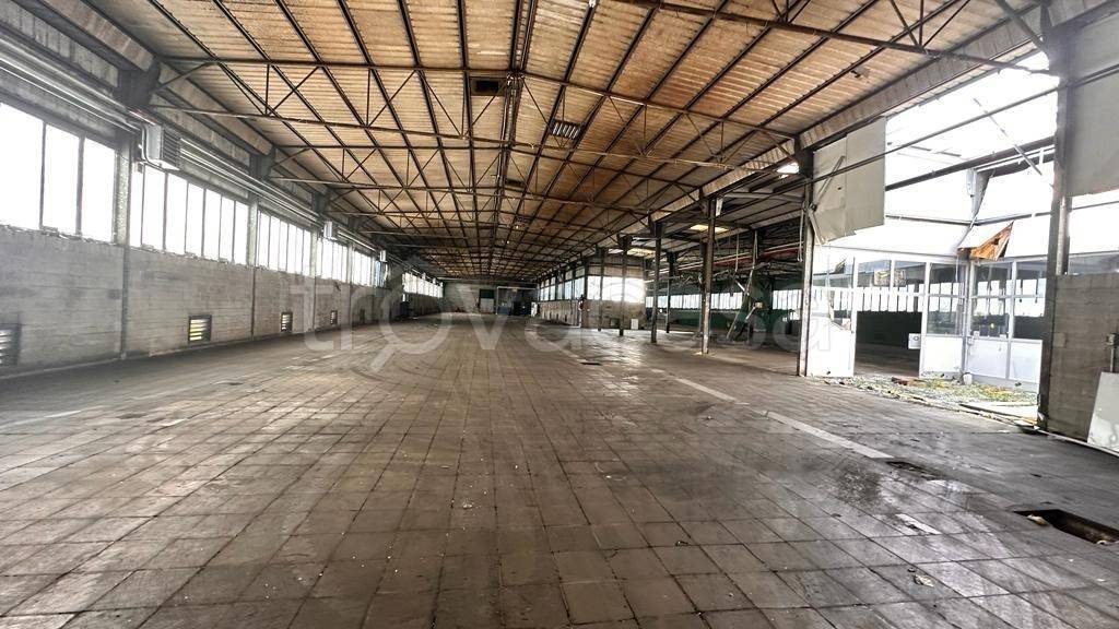 immagine annuncio 6 di 8