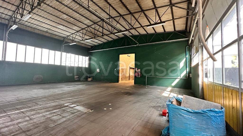 immagine annuncio 6 di 8