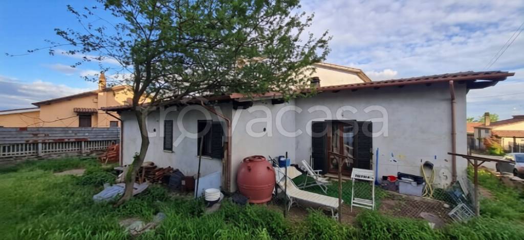 immagine annuncio 1 di 2