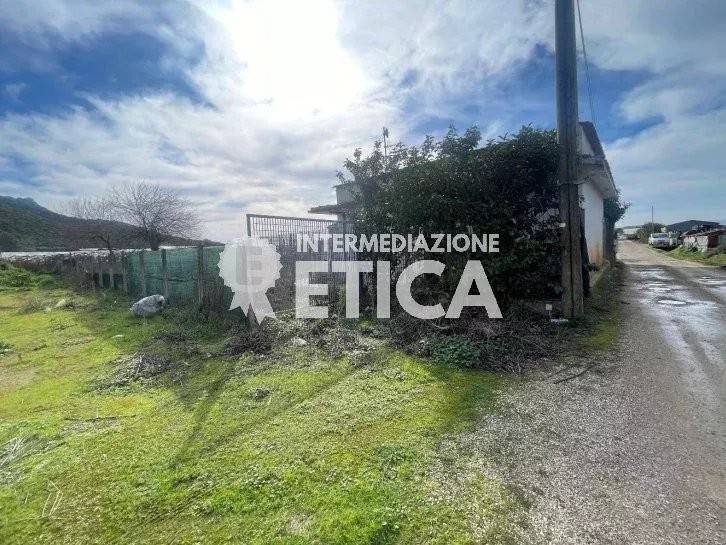 immagine annuncio 3 di 6