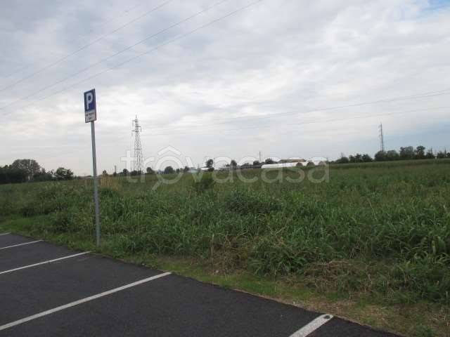 immagine annuncio 1 di 6