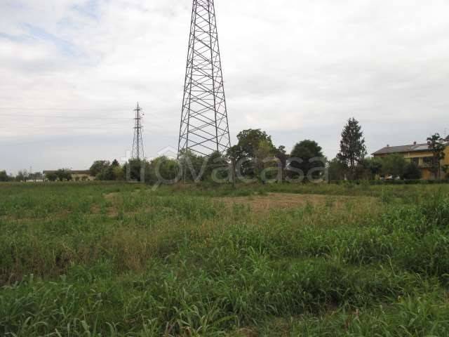 immagine annuncio 4 di 6