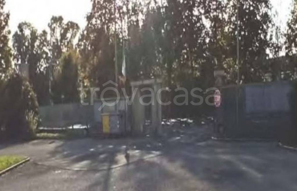 immagine annuncio 3 di 13