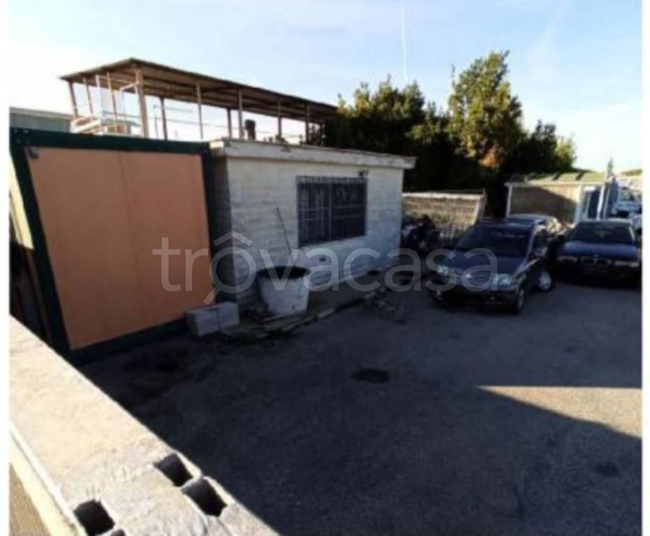 immagine annuncio 6 di 13