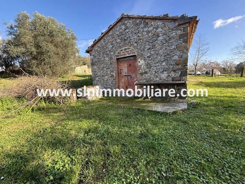 immagine annuncio 11 di 15