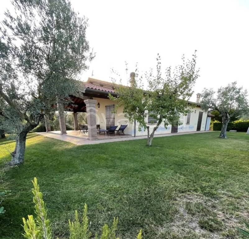 immagine annuncio 1 di 2