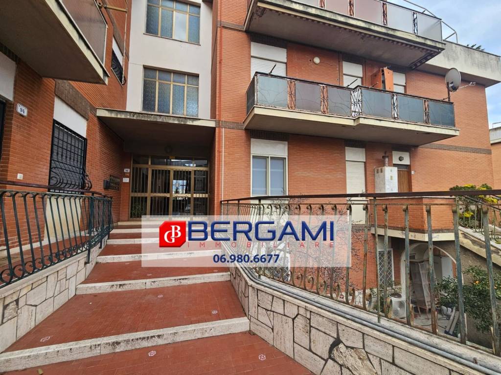 appartamento in affitto a Nettuno