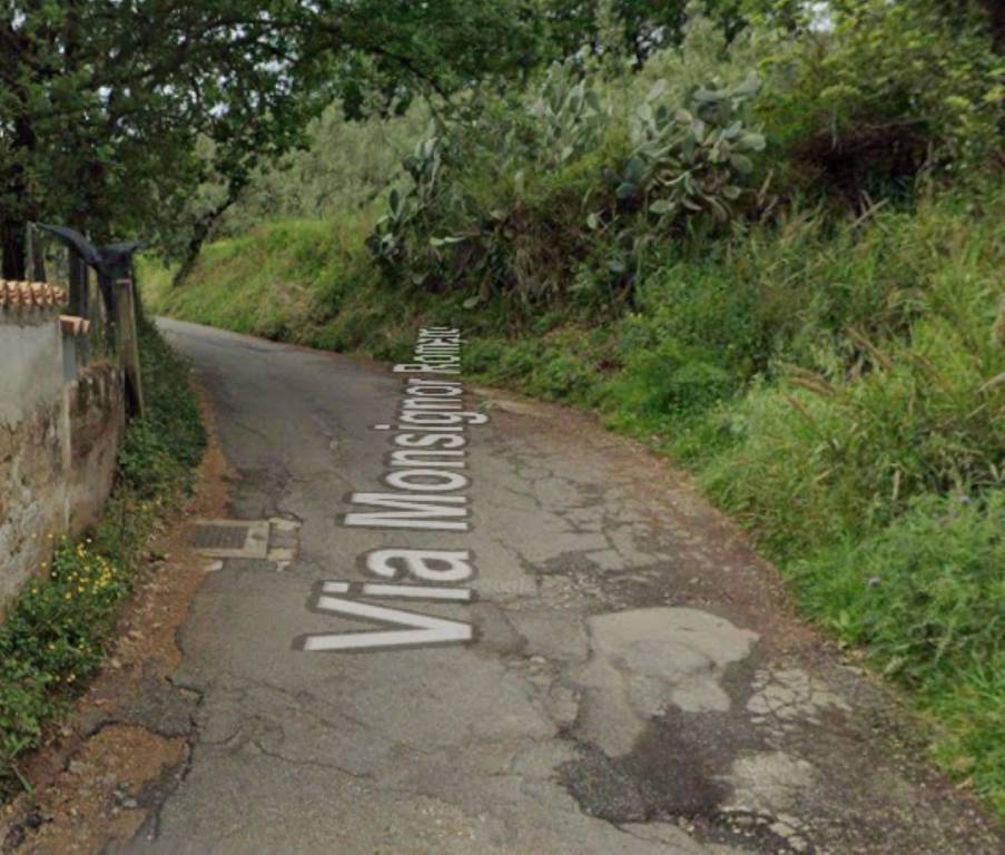 immagine annuncio 10 di 13